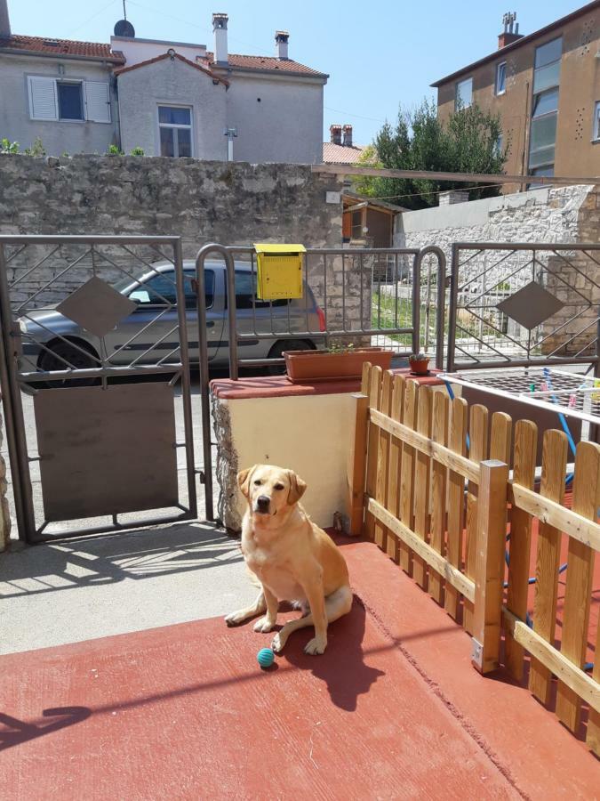 Studio Apartman Danijela Pula Luaran gambar